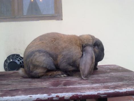20130406913.jpg